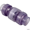 Nds 2 in. Slip x Slip Valve with Union, Clear ND393772
